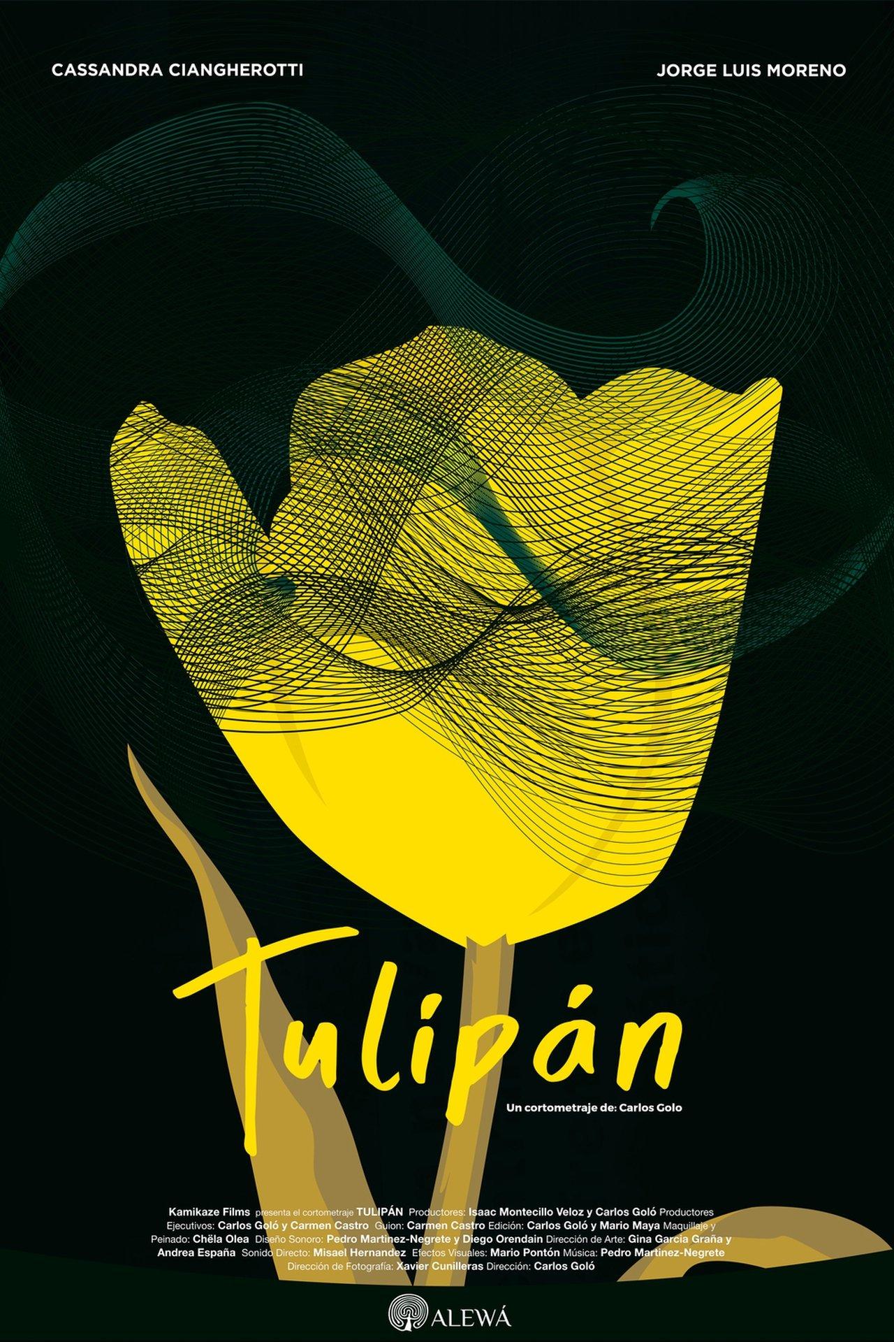 Tulip streaming