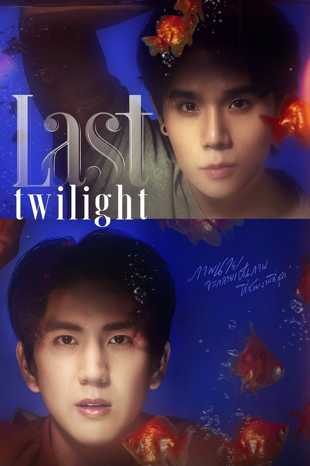 Last twilight streaming