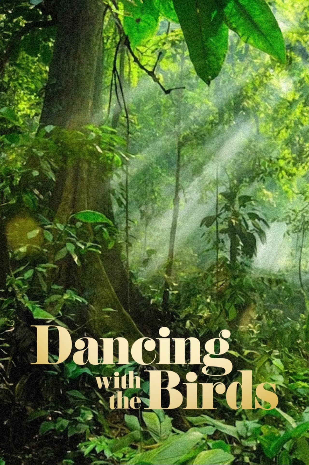 Dancing with the Birds streaming