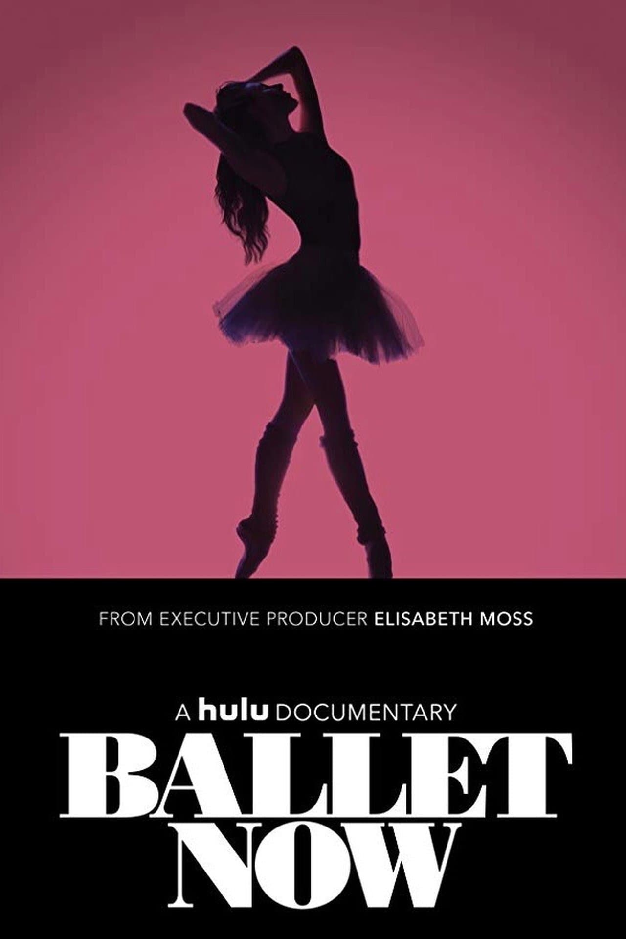 Ballet Now streaming