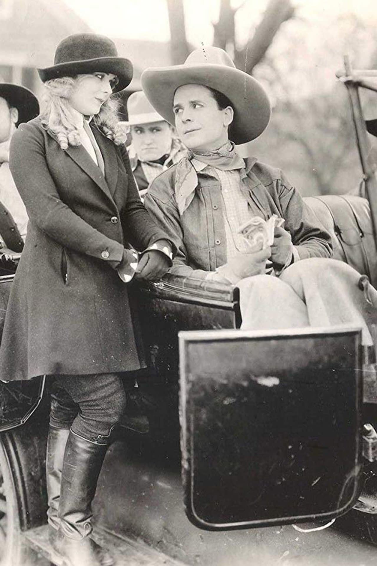 Bashful Whirlwind streaming