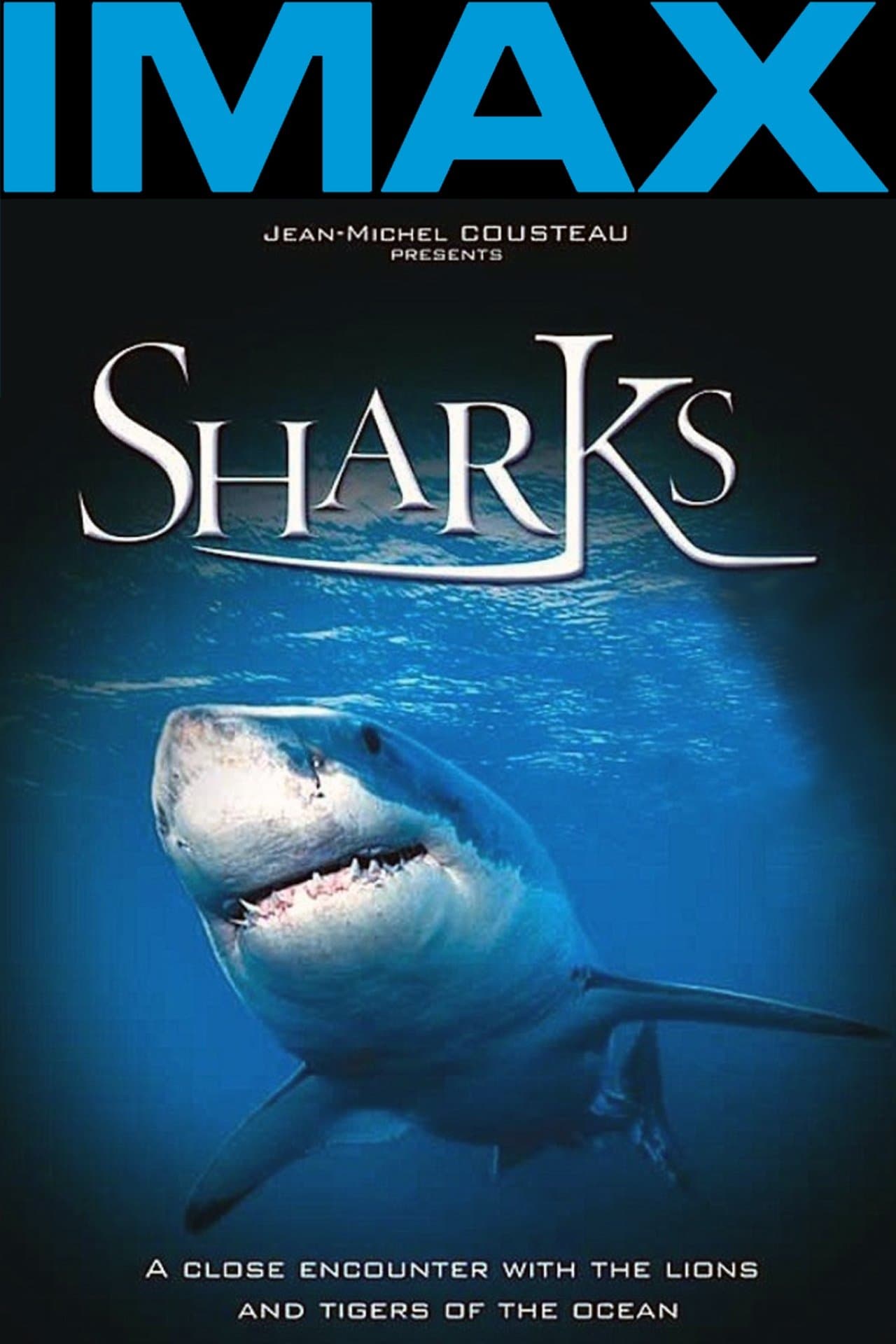 Sharks 3D streaming