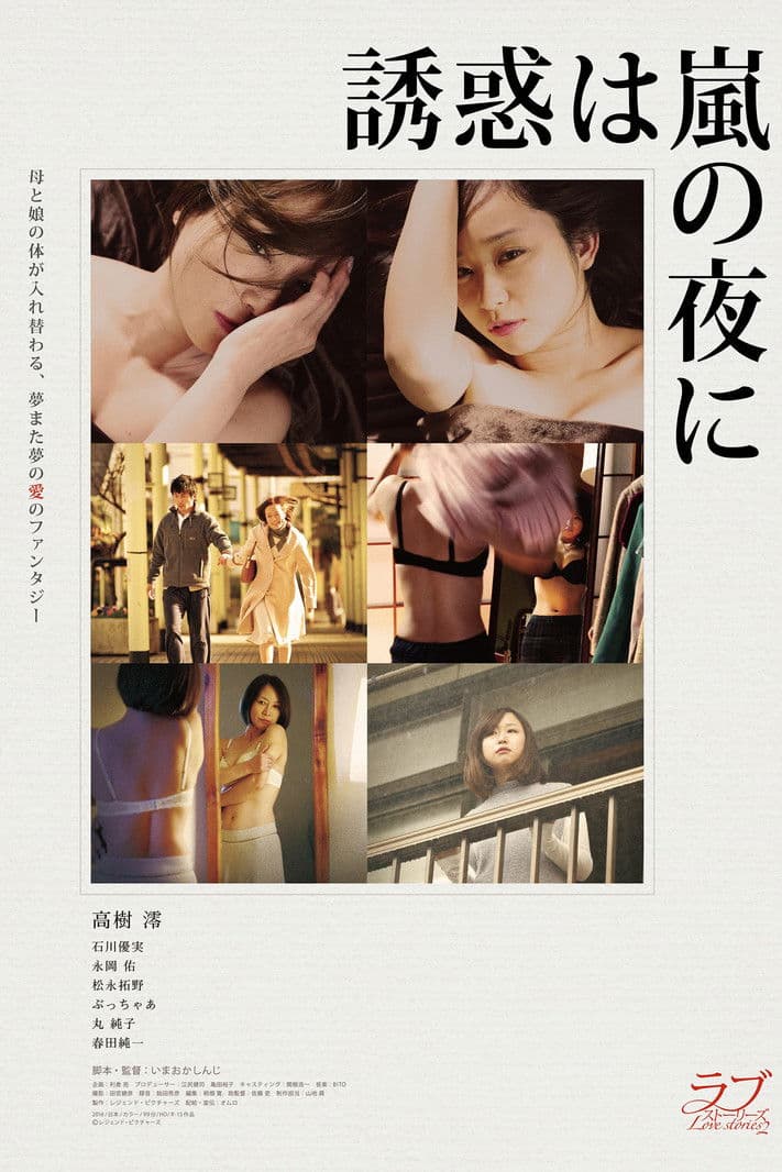 誘惑は嵐の夜に streaming
