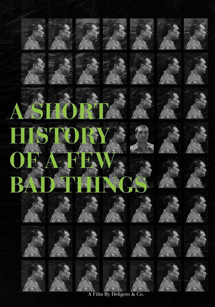 A Short History of a Few Bad Things streaming