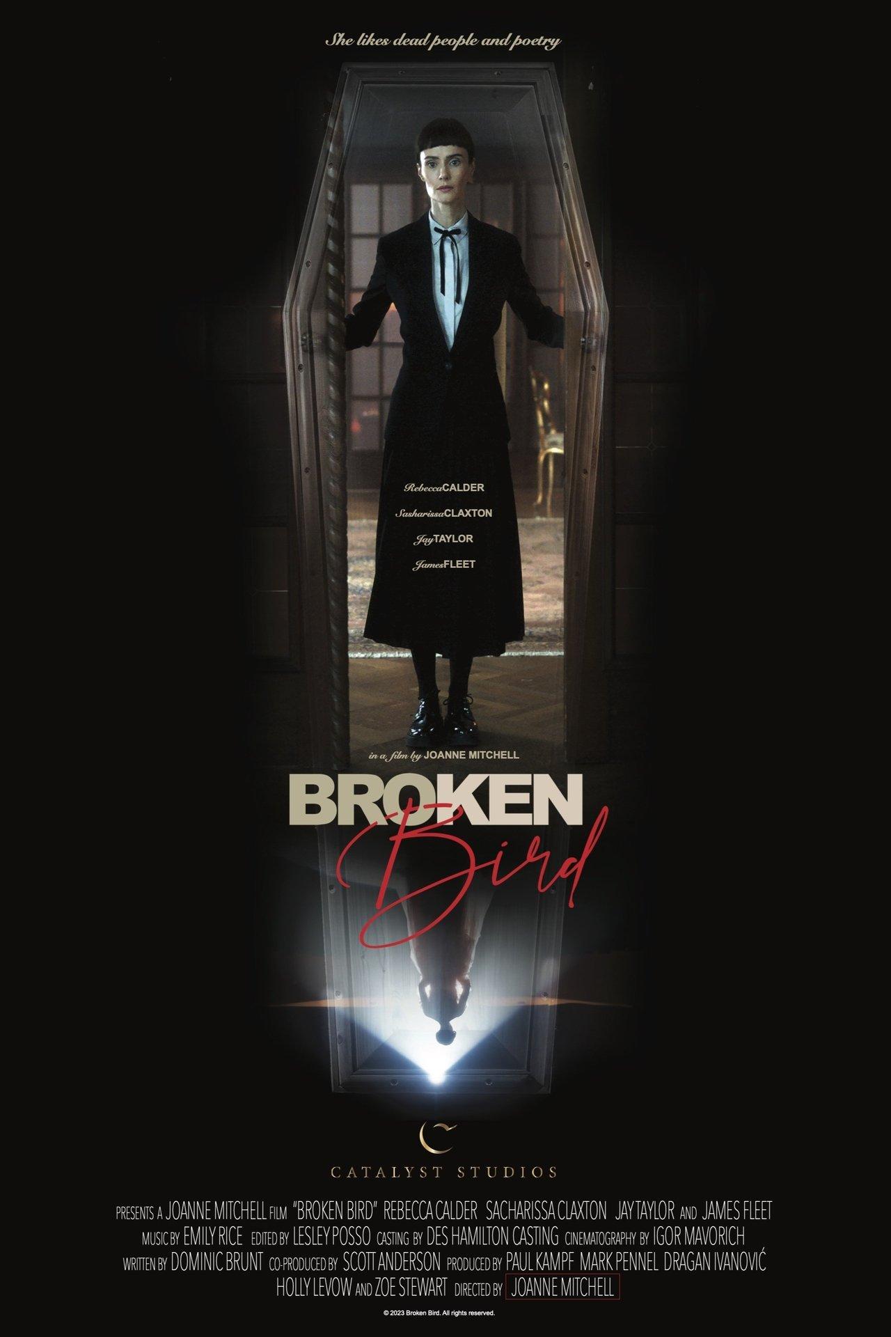 Broken Bird streaming