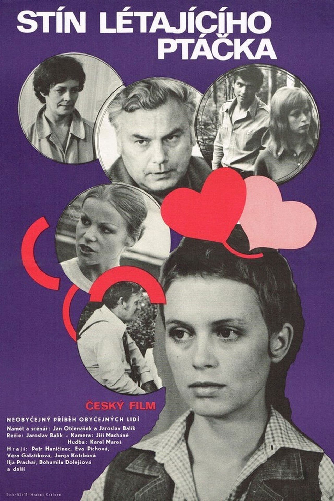 Stín létajícího ptáčka streaming