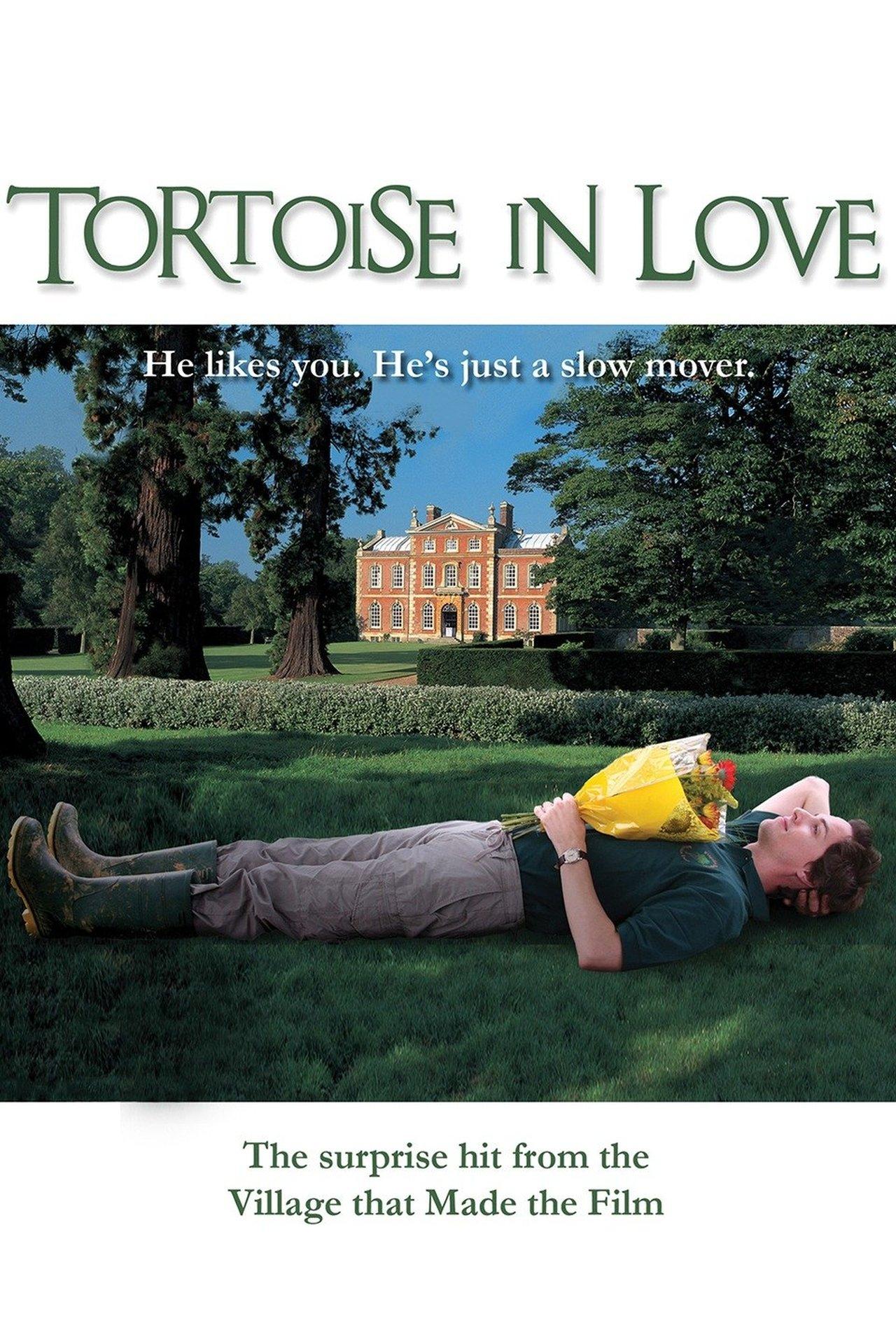 Tortoise in Love streaming
