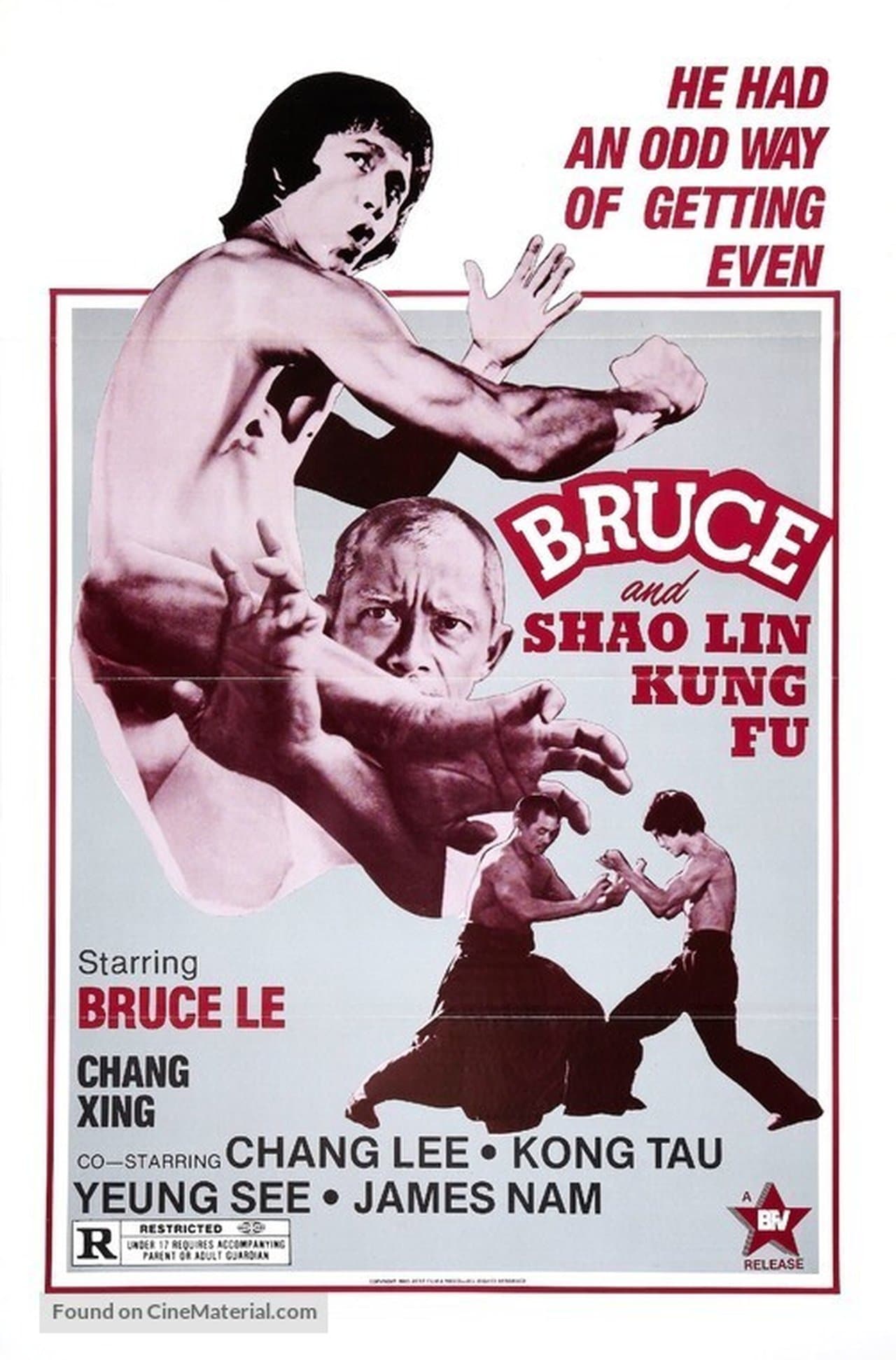 Bruce and Shaolin Kung Fu streaming
