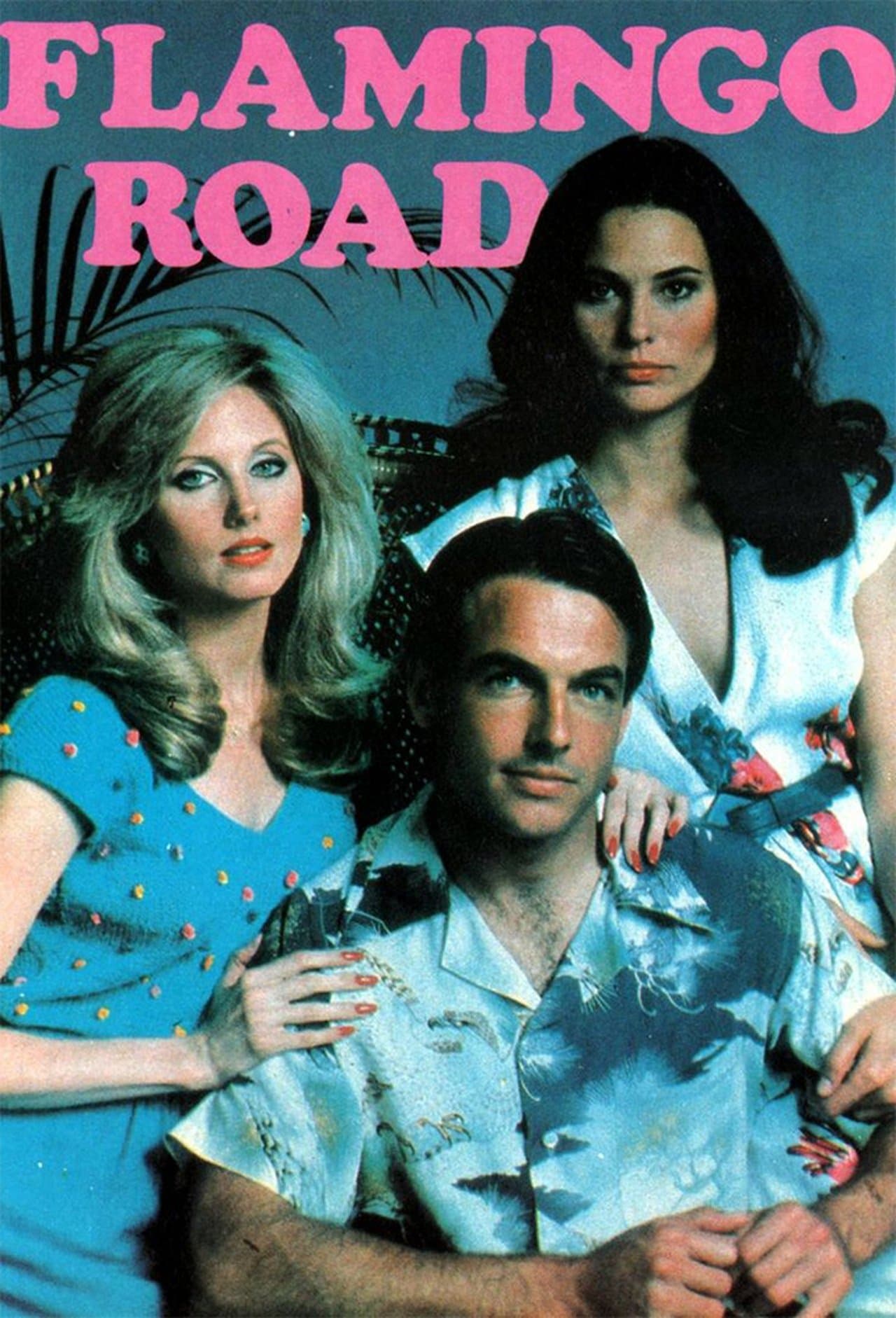 Flamingo Road streaming