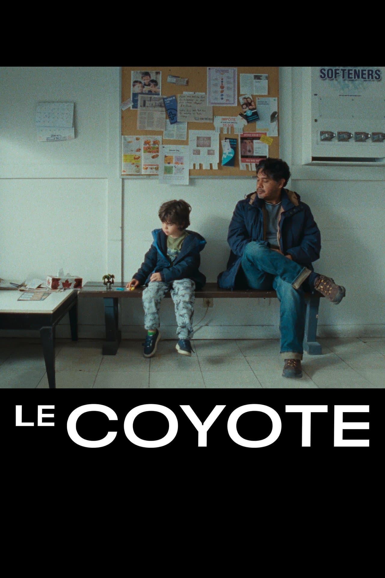 The Coyote streaming