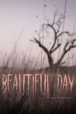 Beautiful Day streaming