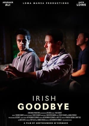 Irish Goodbye streaming
