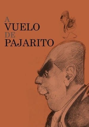 A vuelo de pajarito streaming