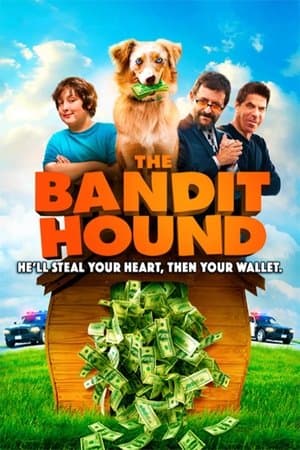 The Bandit Hound streaming