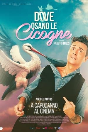 Dove osano le cicogne streaming