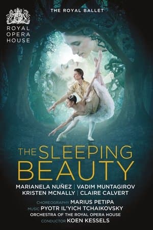 The Sleeping Beauty streaming
