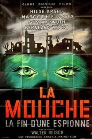 La mouche streaming