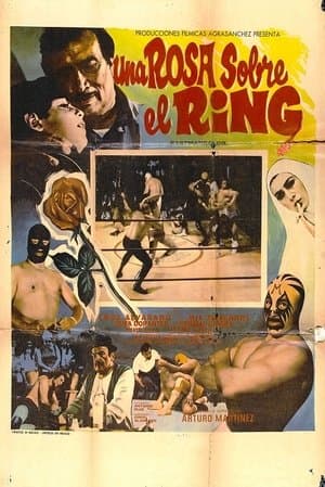 Una rosa sobre el ring streaming