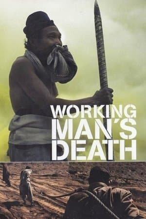 Workingman's Death streaming