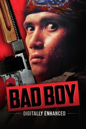 Bad Boy streaming