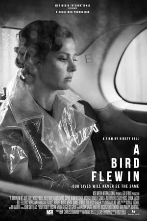 A Bird Flew In streaming