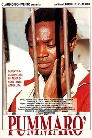 Pummarò streaming