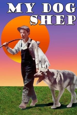 My Dog Shep streaming