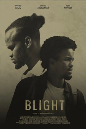 Blight streaming