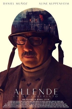 Allende in His Maze streaming