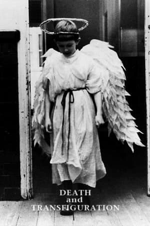 Death and Transfiguration streaming