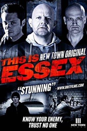 New Town Original streaming