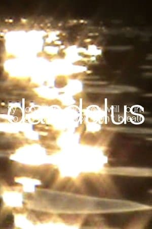 Daedalus streaming