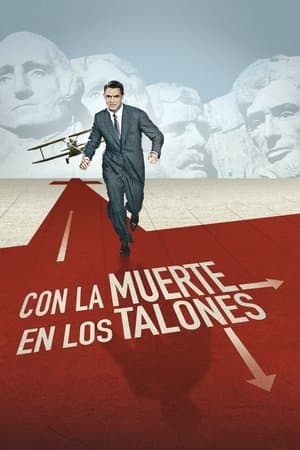 Con la muerte en los talones streaming