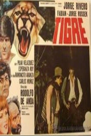 Tigre streaming