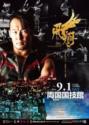 NOAH: Naomichi Marufuji 20th Anniversary Show streaming