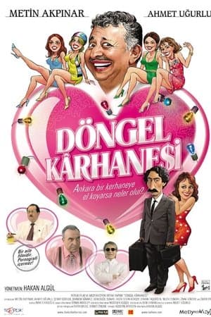 Döngel Kârhanesi streaming