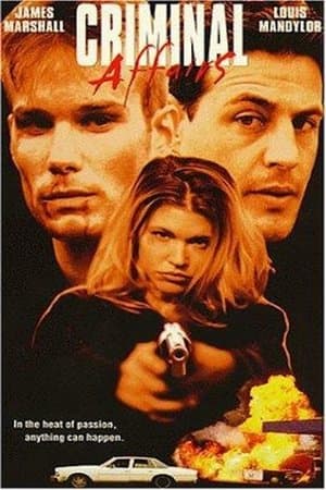 Criminal Affairs streaming