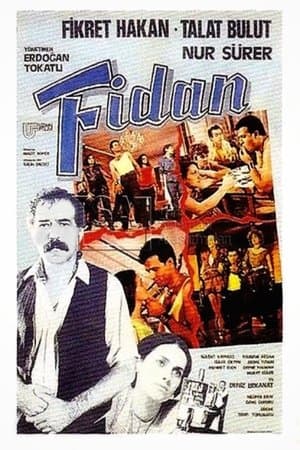 Fidan streaming