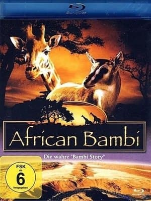 African Bambi streaming