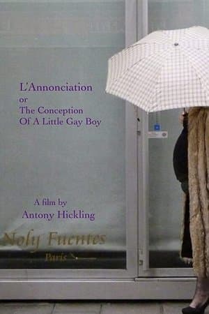 L'Annonciation or The Conception of a Little Gay Boy streaming
