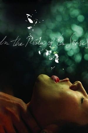 In the Realm of the Senses streaming