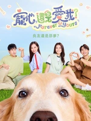 Furever Yours streaming