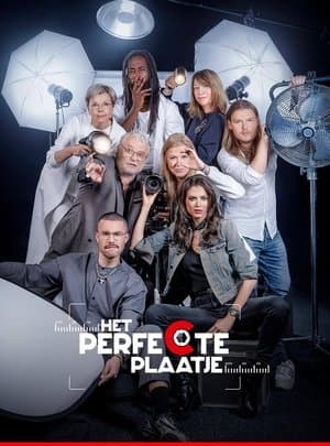 Het Perfecte Plaatje streaming