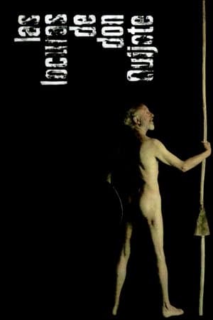 Las locuras de don Quijote streaming