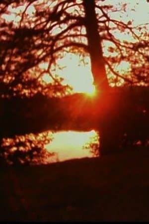 Imaginary Friend streaming