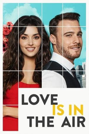 Love Is in the Air streaming