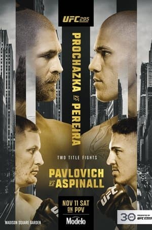 UFC 295: Prochazka vs. Pereira streaming