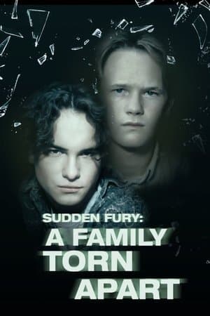 Sudden Fury streaming