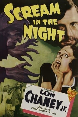 A Scream in the Night streaming