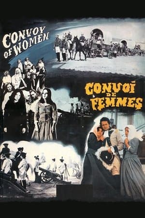 Convoi de femmes streaming